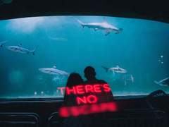 설익은 배신 上