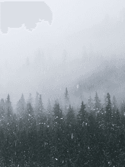 [아키타의 신사]