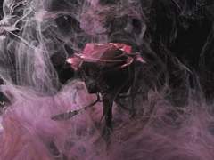 [섷낫] 거짓된 낙원