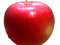 사과