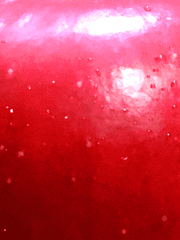 머릿속을 뒤흔드는 이상성욕의 향연