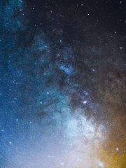 멸망한 세계에서 살아남는 유일한 방법