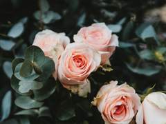 리리아 코즈미•24•여•기존