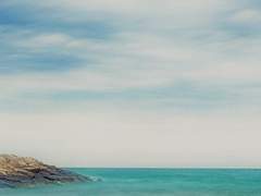 타키나미 렌타 / 26 / XY / 해적