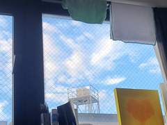 D+148 해외 생활의 힘든 점을 이제야 느낀다