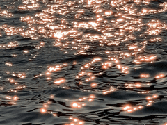 (10/8) 태웅대만 배포전 소장본 인포