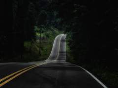 나와 대상의 일치