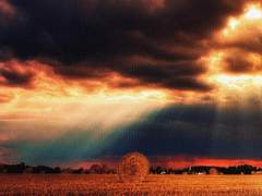 너무 많은 것을 알려고 하지 않는 것이 좋다