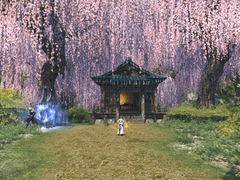 6.45 이문 던전 (특수 던전) 「롯콘산 (육근산)」 루트 정리