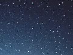 Insomnia 외전 : Under the star