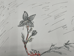 내가 꽃을 좋아하는 이유