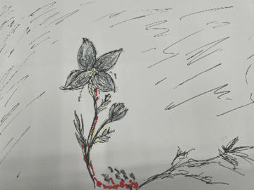 내가 꽃을 좋아하는 이유