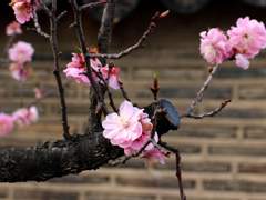 [조걸&윤종] 나의 길