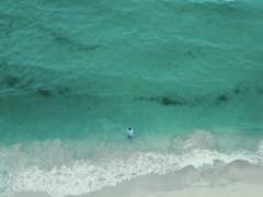 바다가 보이는 풍경