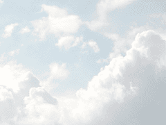 저세상 적응기 2