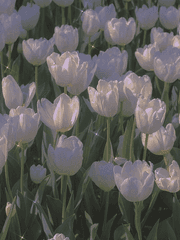 장편 데뷔 준비반