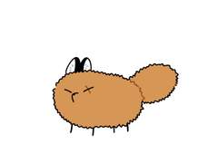 또 다른 핫도그 여우