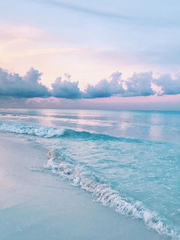 샄캊샄의 도쿄 연애일기