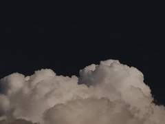 필연적이고 충성스러운 나의 -