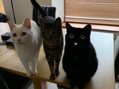 [전독시X마마살] 전독시 세계로 들어간 이한