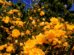 여러분 어서오세요, 다들 잘 오셨습니다!