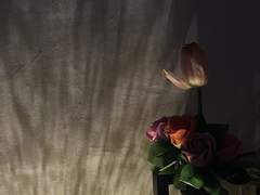 좋은 기억들은 가슴에 묻혀,