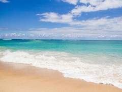 만약 화산파 제자들이 바다에 간다면?(3) FN