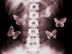 ♡. おねがいダ ーリン