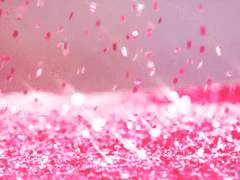 다이애나 A. 레인 / XX / 그리핀도르 / 혼혈