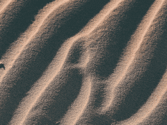 외전1 : 마지막 잎새