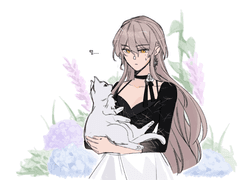 두근두근 아일랜드 백업