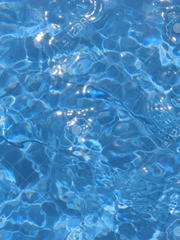 신비로운 물의 여행