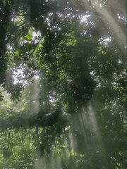 박준_ 혼잣말.습작