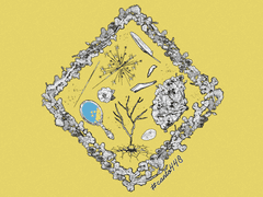 이상과 동백, 그 시절