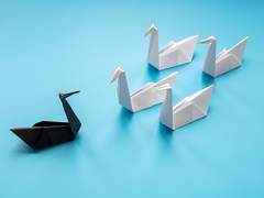 백조의 꿈을 꾸던 흑조가 잠에서 깨어나면 어떻게 되는가.