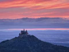 빵과 포도주스와 나뭇가지 하나의 불멸