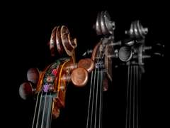 무기력한 동질화의 유혹