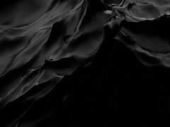 물고기는 존재하지 않는다