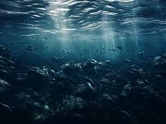 나중에 후회하는 일이 생겨도 말이야,