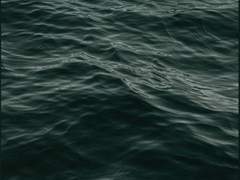 그날 본 바다의 색이 죽을만큼 검길래