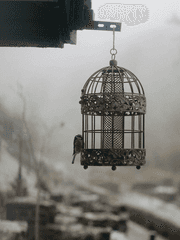 작은 새가 부르던 노래