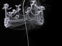 그건 아마도 잘못이어서