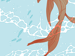 대협이의 어항 + 해석