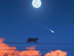 나의우주널생각해낭만콩냥이