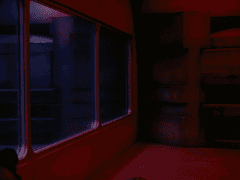 We live in a twilight world.