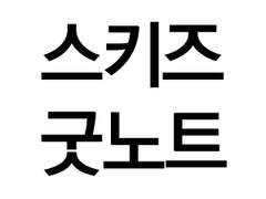 💛스트레이키즈 굿노트 속지 배포