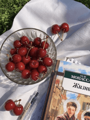 한 조각 두 조각