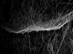 1학년 과제 제출 : 언어와 마법