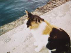 [단편] 7년째 연애중 (상)