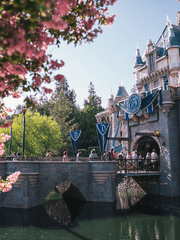 마법학교 프로젝트